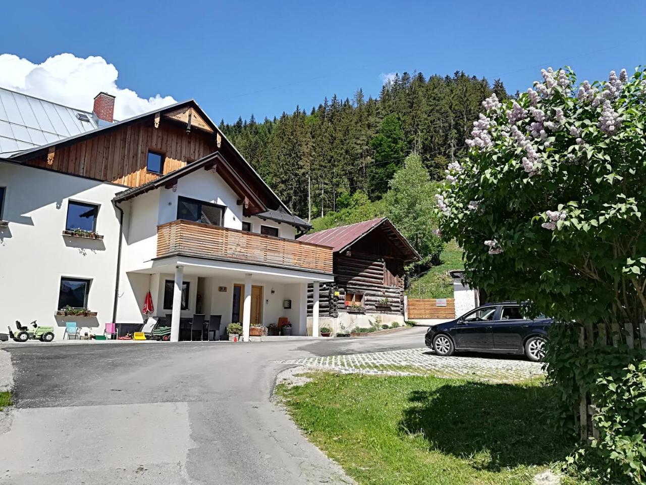 Appartement Grosswallner Radstadt Exterior foto